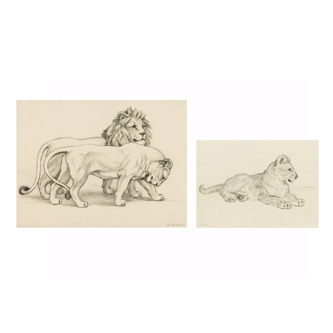 Prints, Elizabeth Norton (1 of 9)