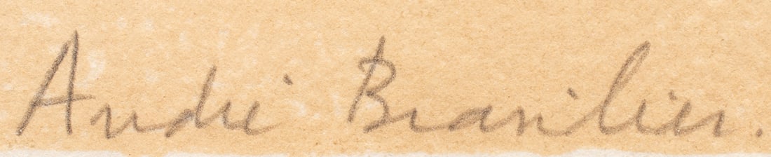 Prints, Andre Brasilier - 12