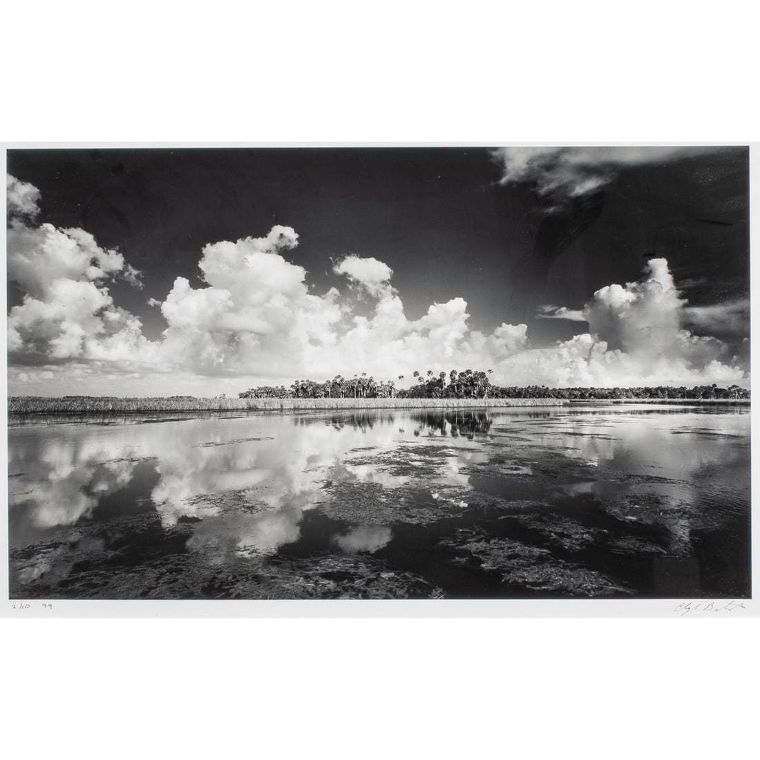 Photograph, Clyde Butcher (1 of 5)