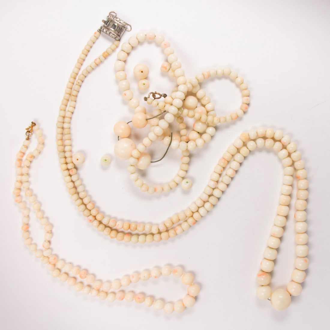 A coral group (1 of 1)