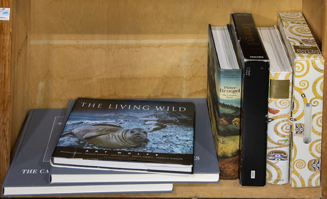 Five volumes of art and astronomy books including Gustav Klimt (1 of 1)