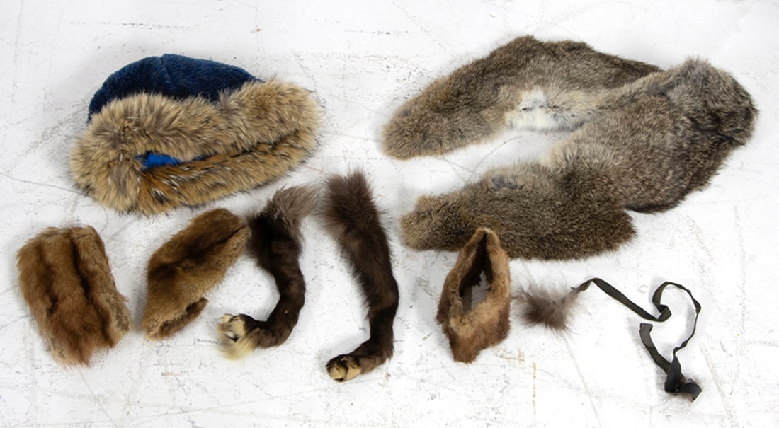 An assembled group of seven furs: An assembled group of seven furs, stole 4.5"l x 21"w (shoulder)