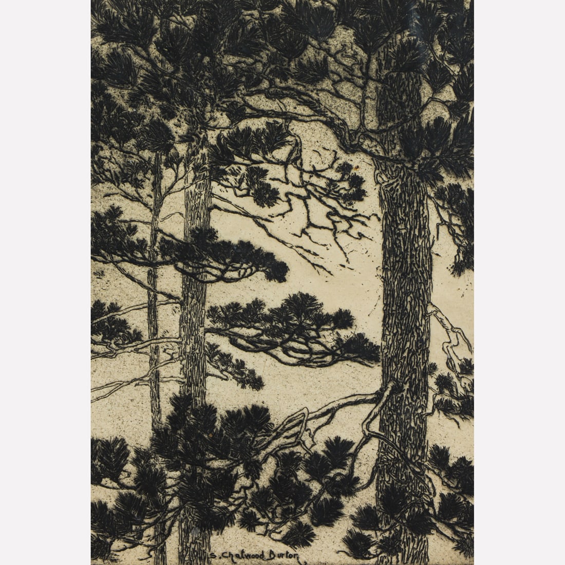 Print, Samuel Chatwood Burton: Samuel Chatwood Burton (American, 1881-1947), "Pine Cones," etching, pencil signed lower right, titled lower left, image: 8.5"h x 6"w, overall (with frame): 16.75"h x 13.25"w