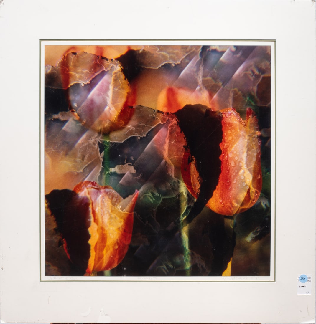 Photomontage, Sister Adele Rowland (1 of 1)