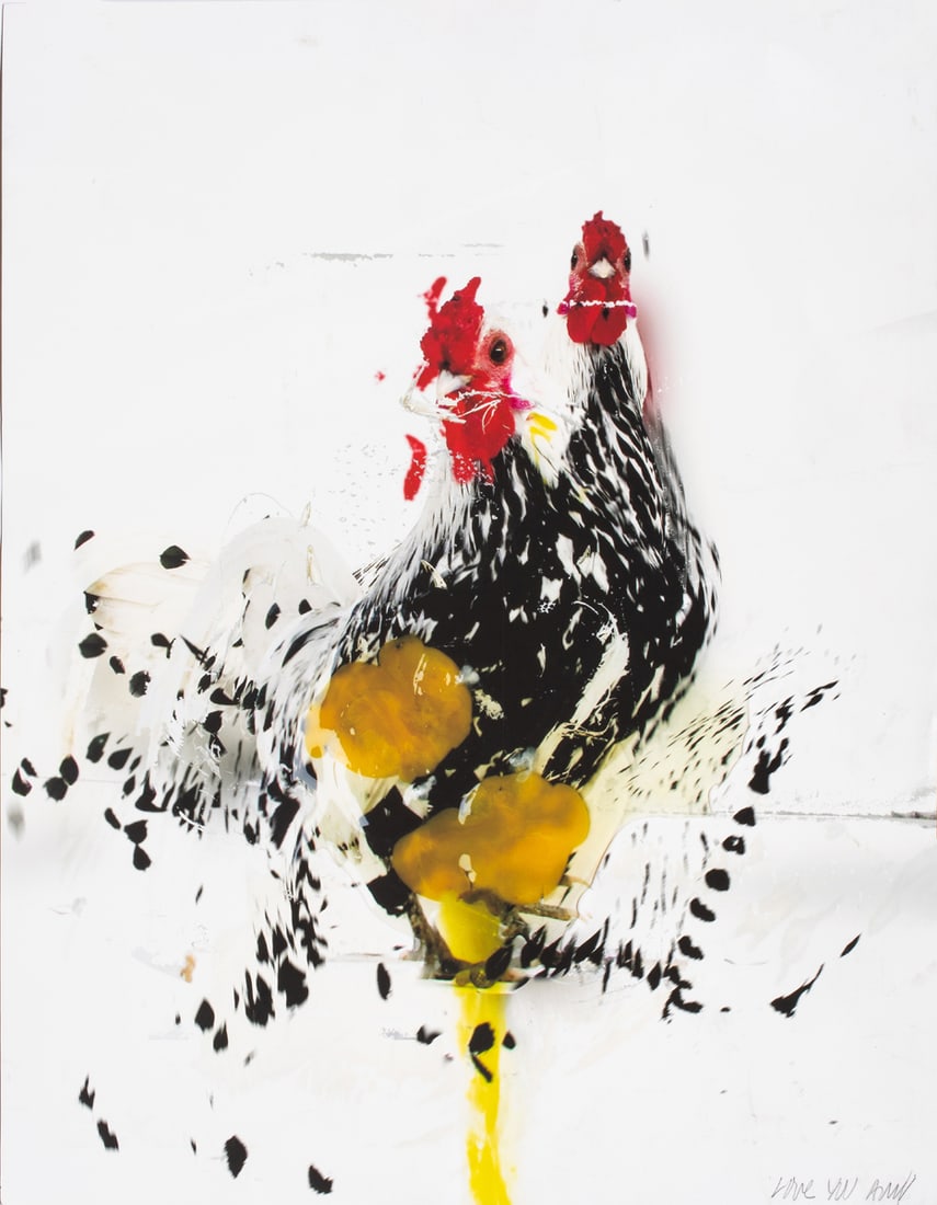 Print, Deborah Oropallo (1 of 1)