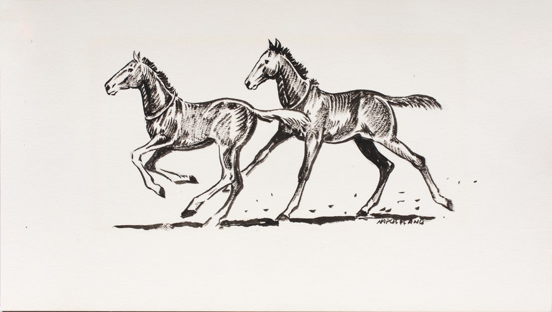 Illustration, Al Martin Napoletano (1 of 1)