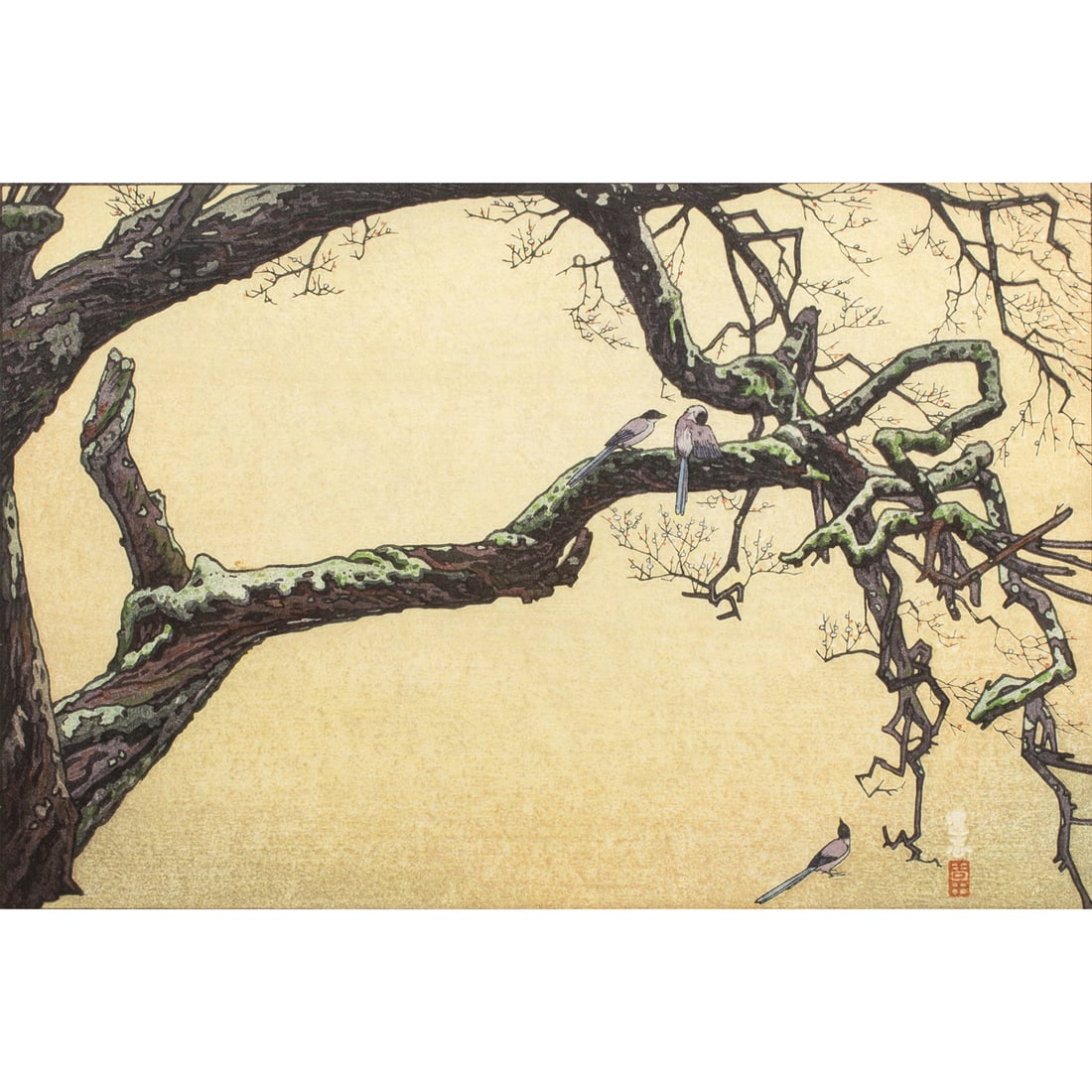 Print, Toshi Yoshida: Toshi Yoshida (Japanese, 1911-1995), "Plum Tree and Blue Magpie," woodblock print, pencil signed lower right, titled lower left, image: 9.5"h x 14.5"w, overall (with frame): 16.5"h x 21.5"w