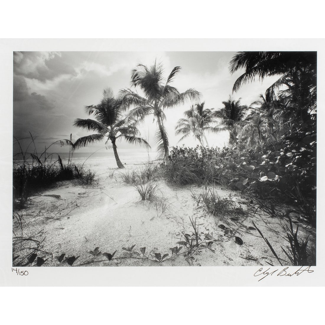 Photograph and Book, Clyde Butcher: Clyde Butcher (American, b. 1941), Estero Island, gelatin silver print, with book "Clyde Butcher: Portfolio I, Florida Landscapes," edition 14/150, image: 7"h x 9"w, overall (with frame): 15.5"h x