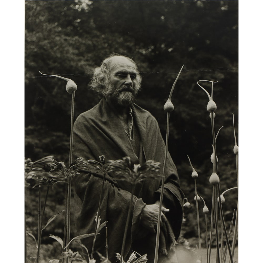 Photograph, Imogen Cunningham (1 of 5)