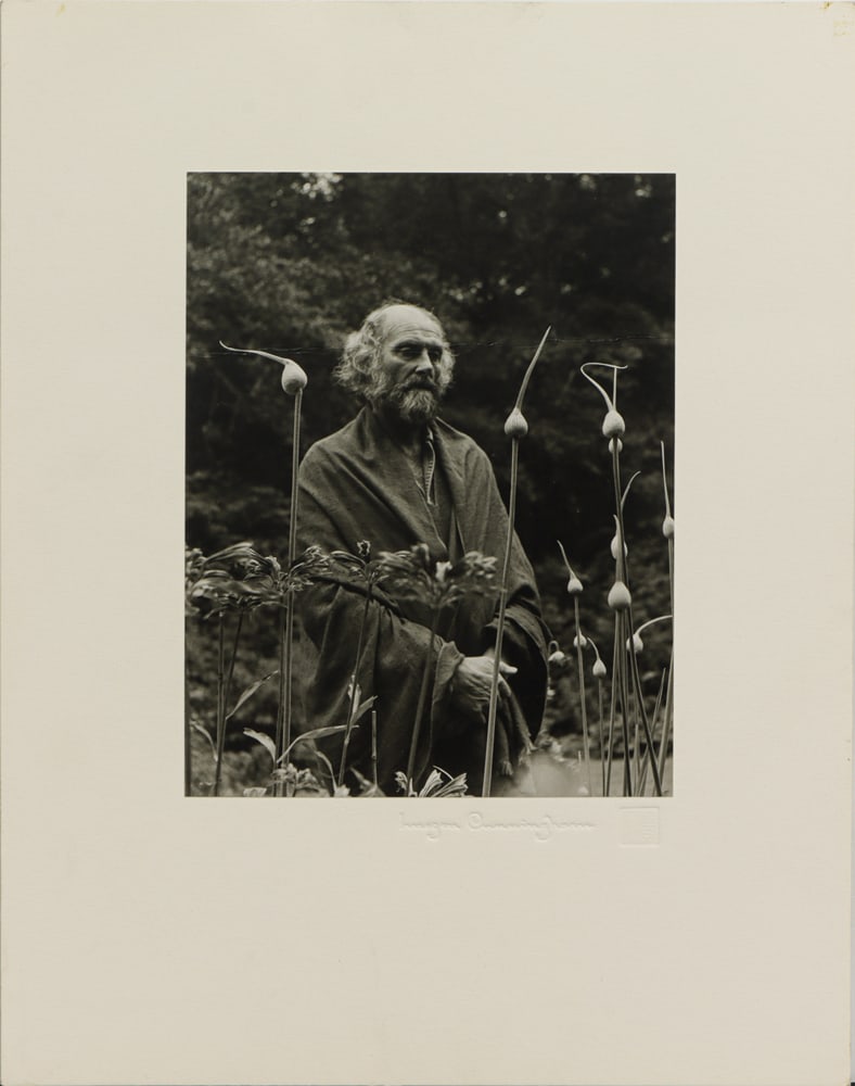 Photograph, Imogen Cunningham - 2