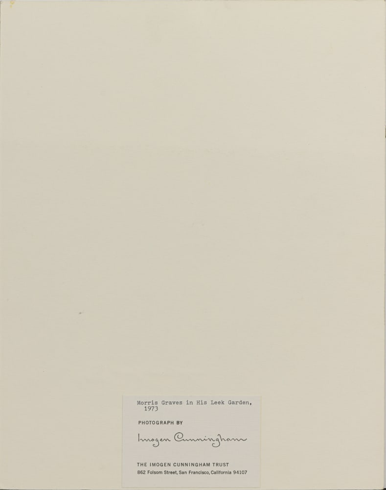 Photograph, Imogen Cunningham - 3