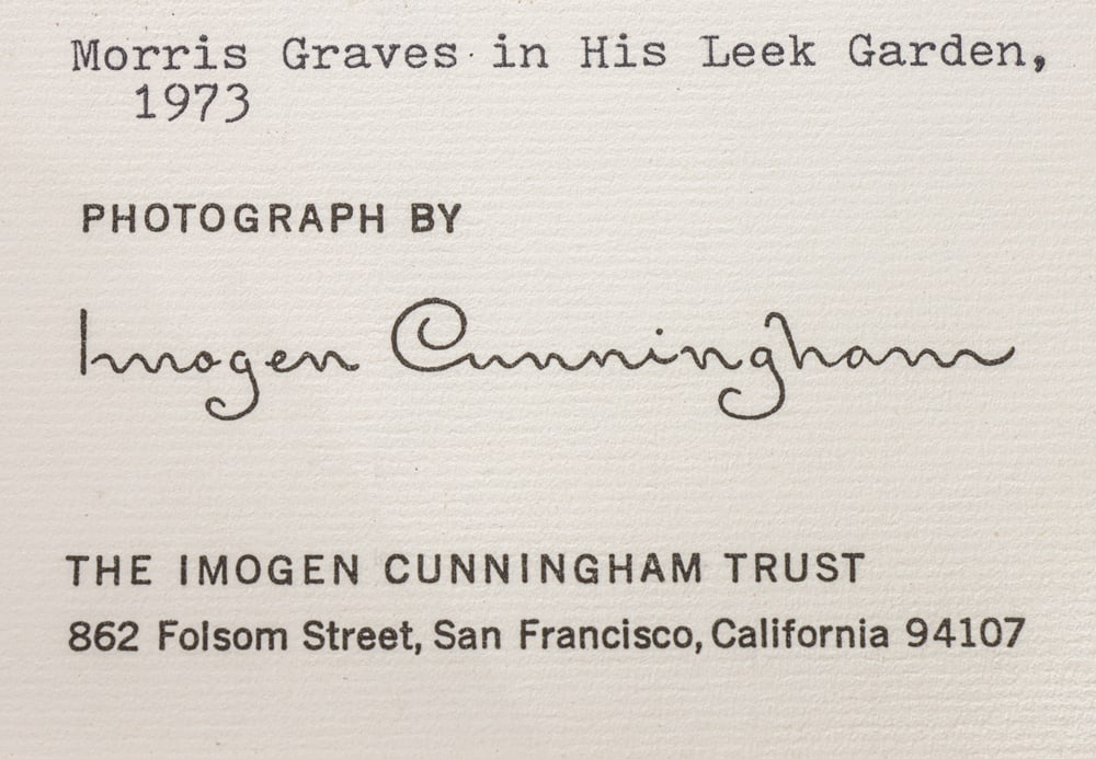Photograph, Imogen Cunningham - 4