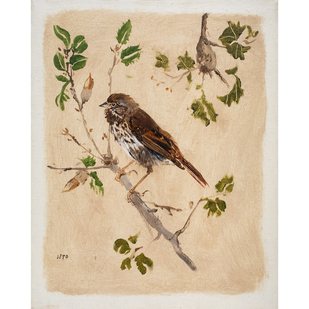 Painting, Bryan Wilson: Bryan Wilson (American, 1927-2002), "Fox Sparrow," 1970, acylic on canvas, initialed and dated lower left, signed, titled, and dated verso, canvas: 20"h x 16"w, overall (with frame): 21"h x 17"w