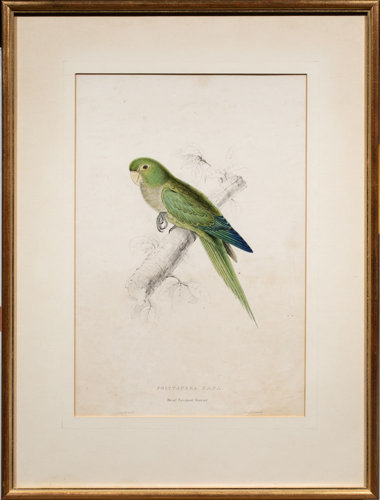 Print, Edward Lear - 2