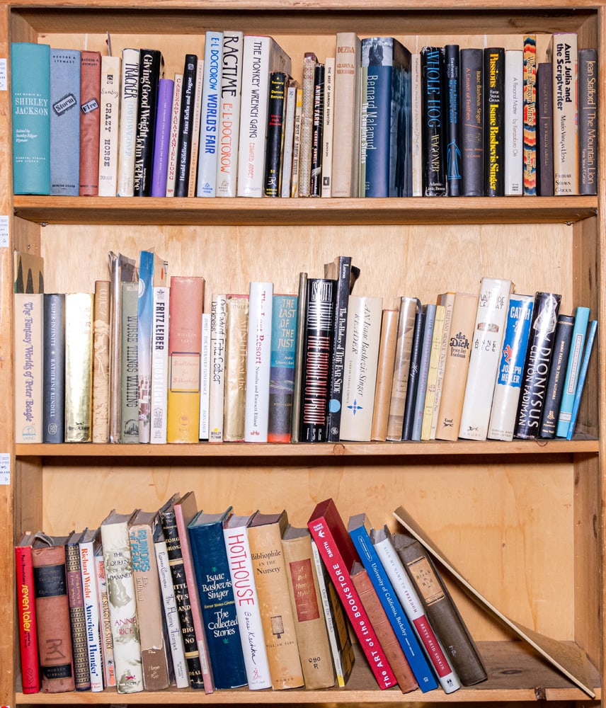 An assembled group of mostly Western creative literature: An assembled group of mostly Western creative literature, titles include 'Interview with the Vampire', 'The Queen of the Damned', 'Catch-22', 'The Ghost Light', 'Animal Farm', etc