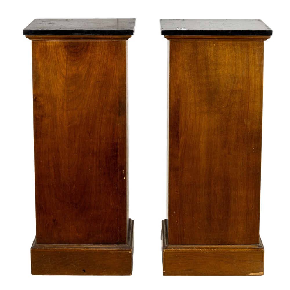 A pair of Biedermeier style parcel ebonized square pedestals (1 of 1)