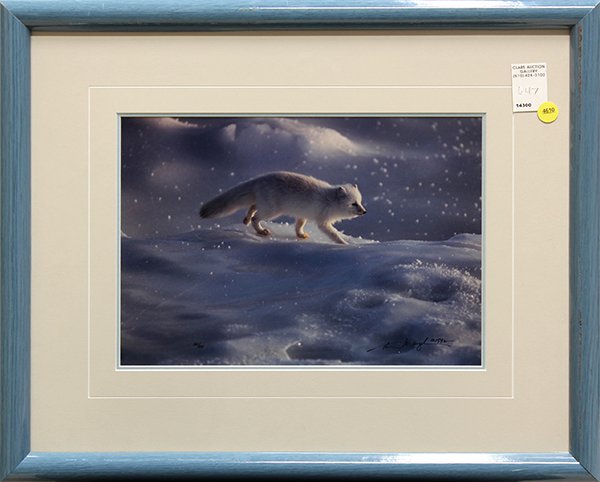 Photograph, Thomas Mangelsen, Arctic Fox: Thomas Mangelsen (American, 20th-21st century), Arctic Fox, 1992, color photograph, signed and dated lower right, from an edition of 950, overall: 18"h x 22"w