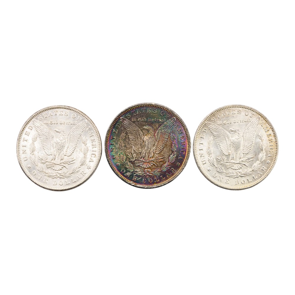 Three Morgan silver dollars - 2
