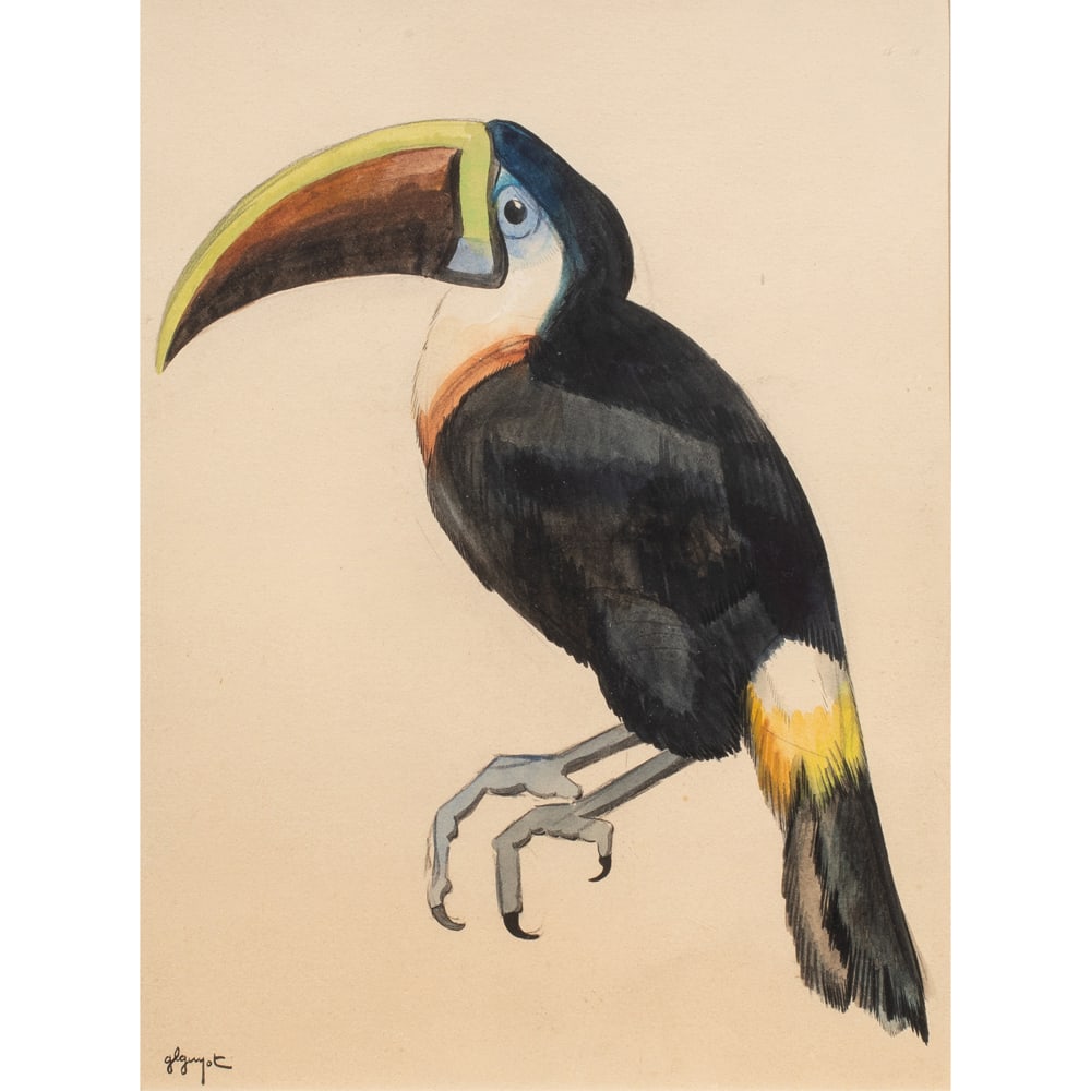 Watercolor, Georges Lucien Guyot: Georges Lucien Guyot (French, 1885-1973), Toucan, watercolor, signed lower left, sight: 13.5"h x 10"w, overall (with frame): 23.5"h x 20.5"w
