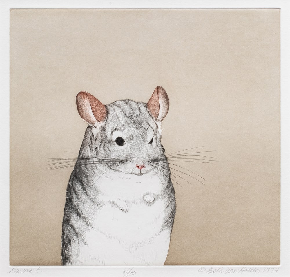 Print, Beth Van Hoesen (1 of 6)