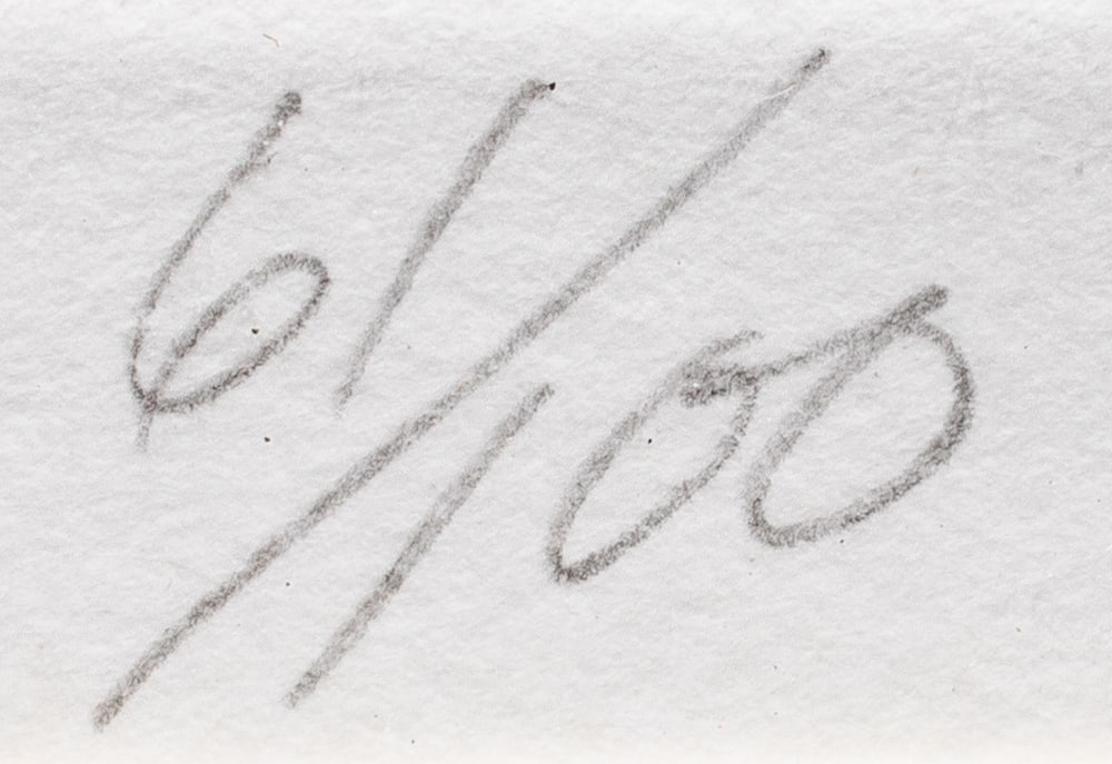 Print, Beth Van Hoesen - 5