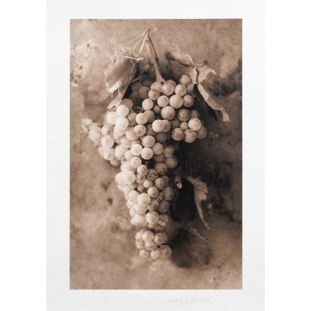 Photograph, David C. Halliday: David C. Halliday (American, b. 1958), "Tuscan Grapes," 1998, sepia-toned gelatin silver print, pencil signed and dated lower right, edition 17/25, gallery label (Brown's Gallery, Boise, ID) affixed