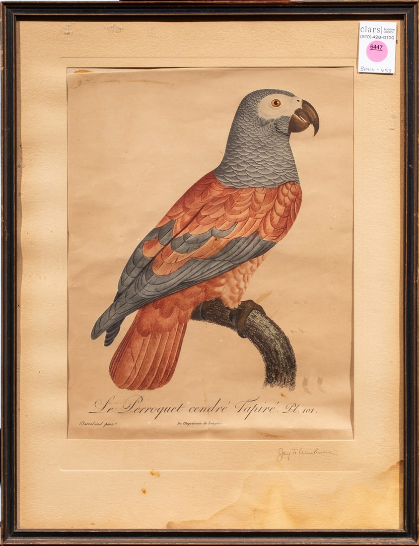 Print, French School (19th/20th century): French School (19th/20th century), "Le Perroquet cendre Tapire," offset print, overall (with frame): 19"h x 14.5"w