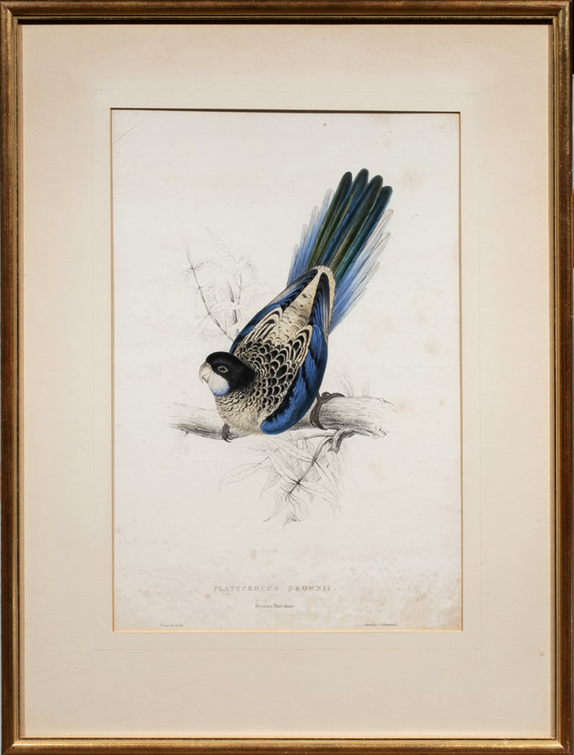 Print, Edward Lear - 2
