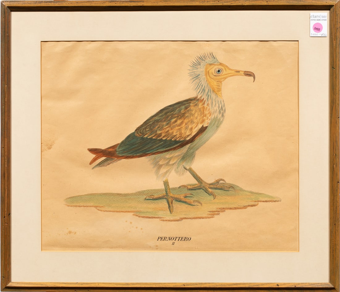 Print, European School (19th/20th century): European School (19th/20th century), "Pernoterro," hand-colored engraving, overall (with frame): 22"h x 25"w