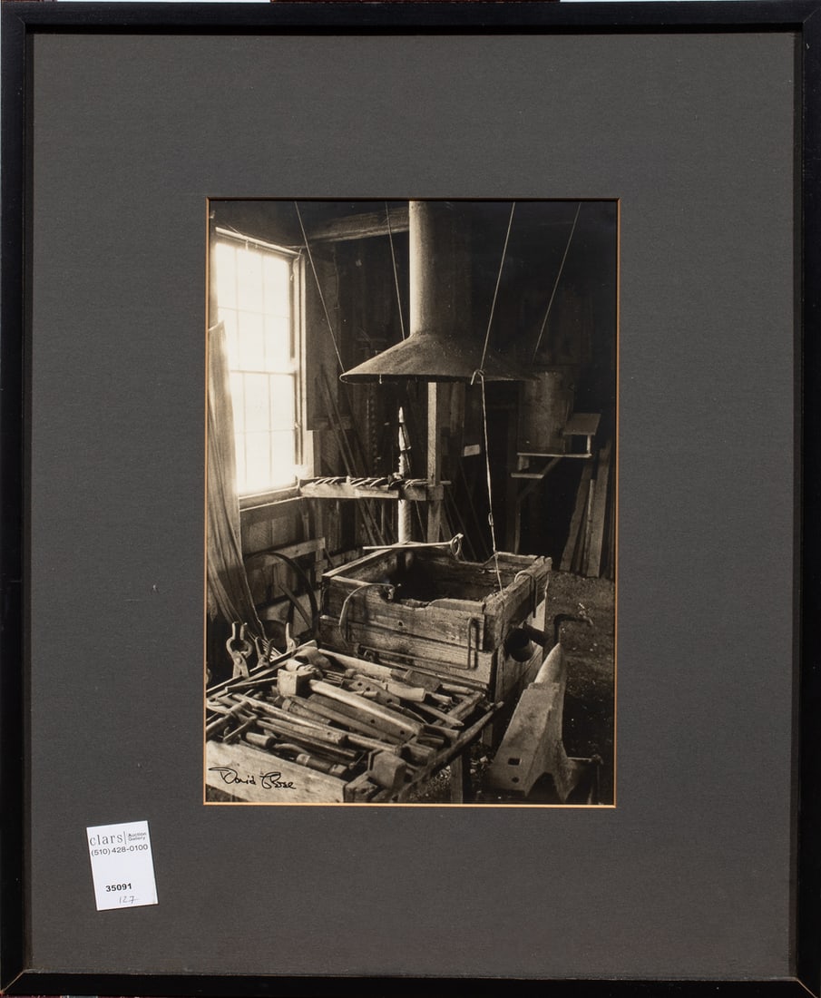 Photograph, David Rose (1 of 1)