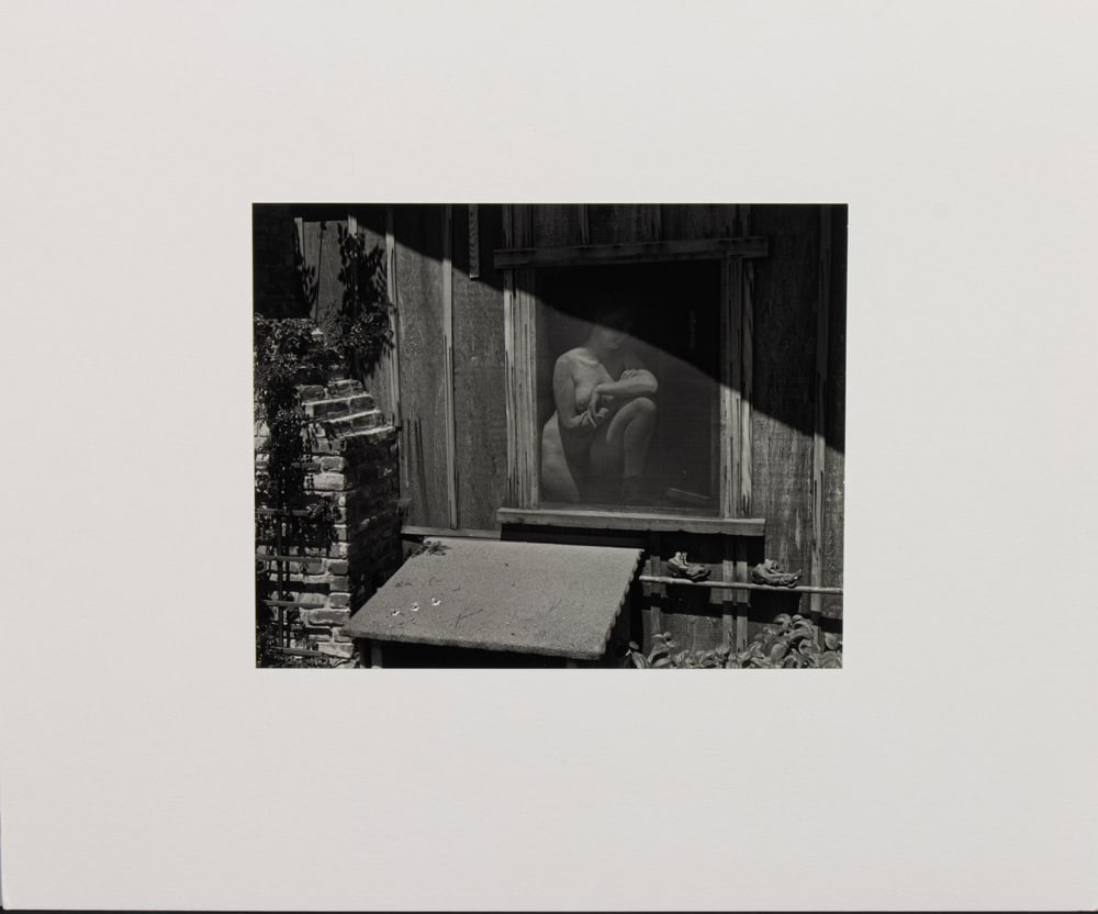 Photograph, Edward Weston - 2
