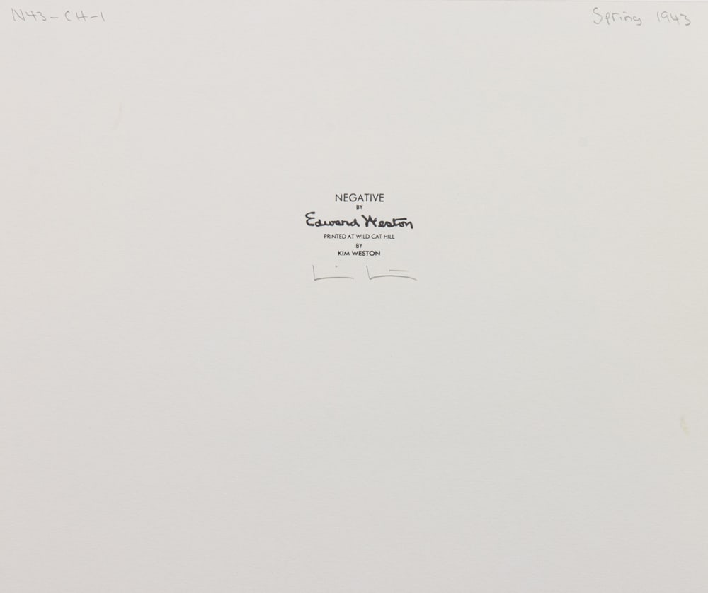 Photograph, Edward Weston - 3