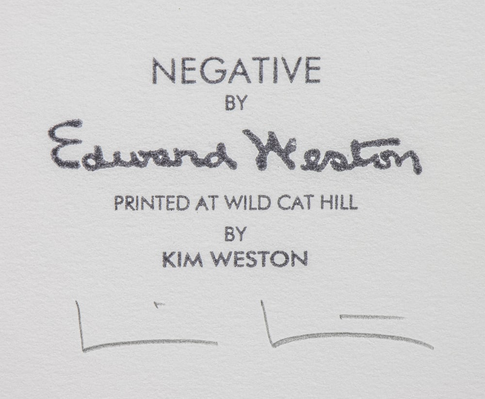 Photograph, Edward Weston - 4