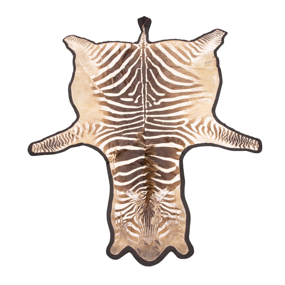 A zebra rug: A zebra rug, 10'7" x 6'7". Provenance: A private collection, Russian Hill, San Francisco, from the storied Gold Coast residence known as "House of Grand Passion," a property of distinguished pedigree.