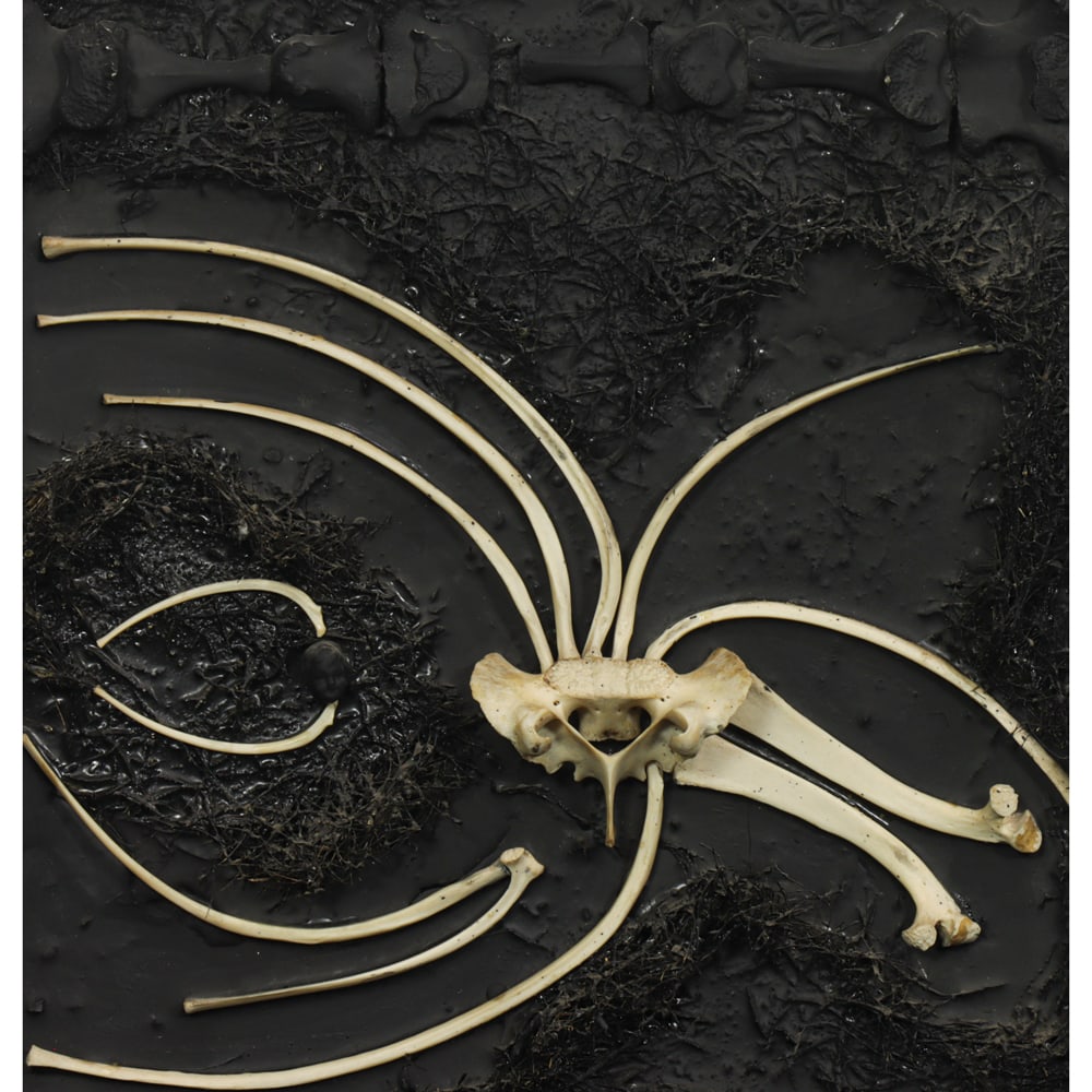 Mixed Media, Robert McChesney: Robert McChesney (American, 1913-2008), "Bones #3," 1964, bones and polyester on panel, signed, titled, and dated verso, panel: 12"h x 11.5"w, overall (with frame): 13"h x 13"w
