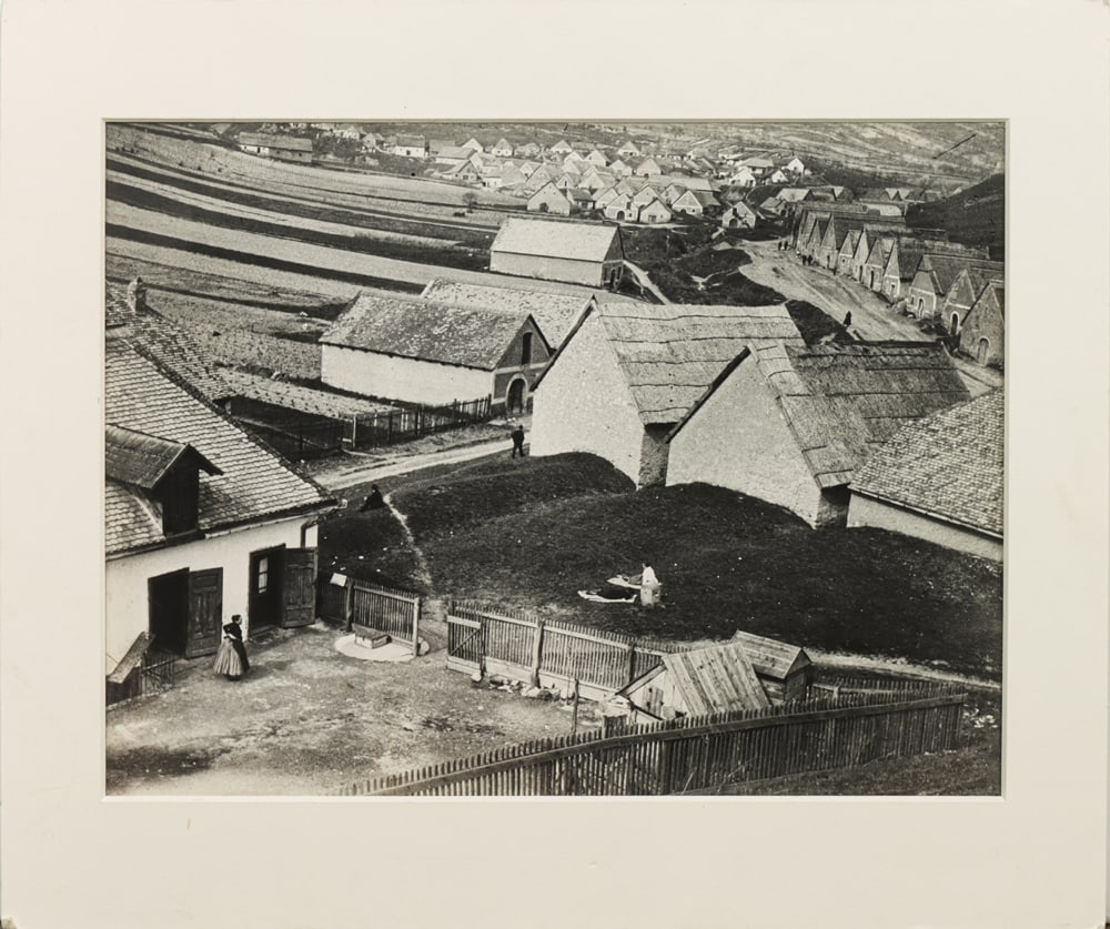 Photograph, Andre Kertesz - 2