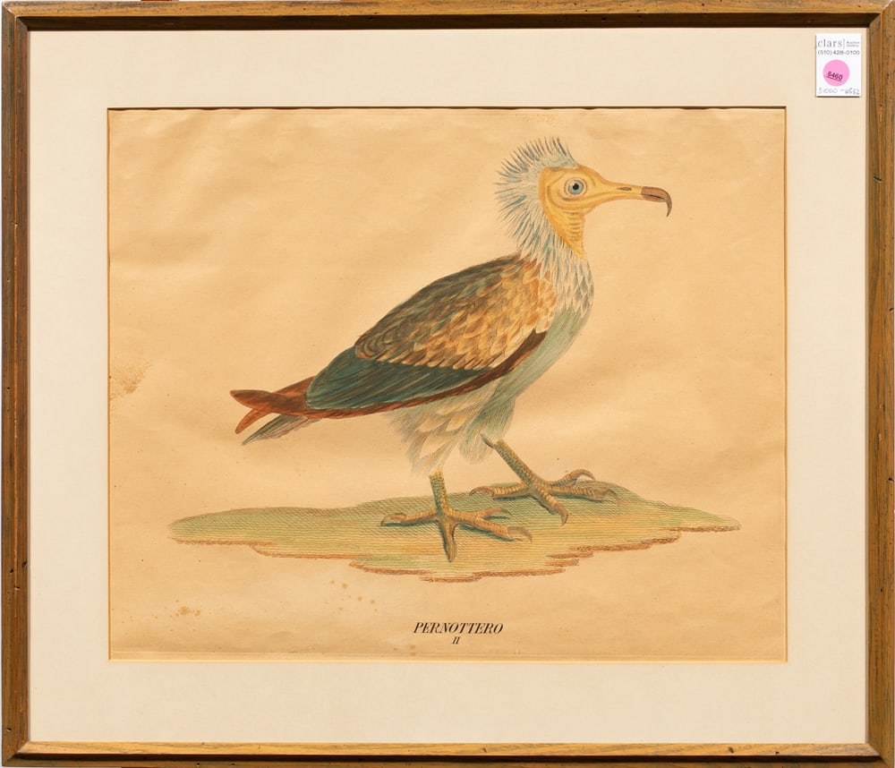 Print, European School (19th/20th century): European School (19th/20th century), "Pernoterro," hand-colored engraving, overall (with frame): 22"h x 25"w