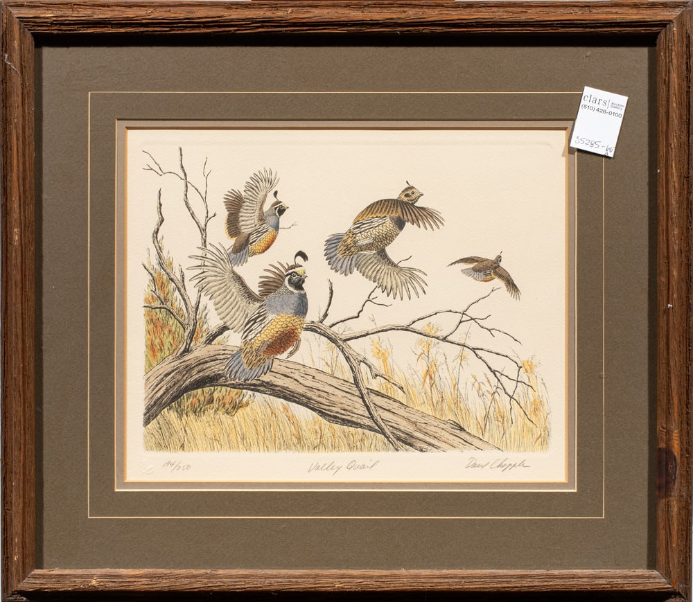 Print, David Chapple (1 of 1)