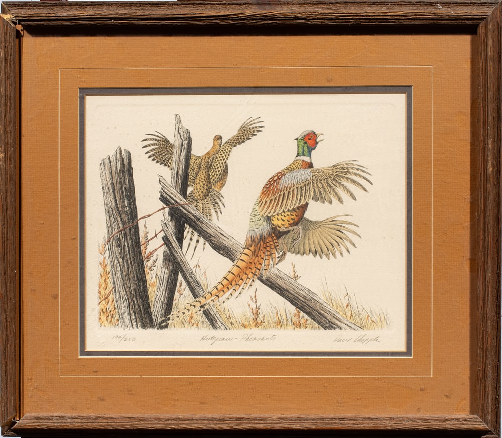 Print, David Chapple (1 of 1)