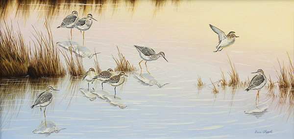 Work on Paper, David Chapple: David Chapple (American, b. 1947) Sand Pipers, tempera on paper, signed lower right, sight: 13.26"h x 27.5"w, overall (with frame): 24"h x 38.5"w. Provenance: recieved directly from the artist by pres