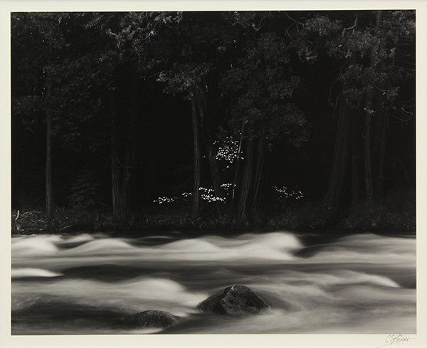 Photograph, Chris Rainier, Dogwood and River: Yosemite: Chris Rainier (American, 20th century), "Dogwood and River: Yosemite 1980," gelatin silver print, pencil signed lower right, image: 15"h x 19"w, overall (with mat): 25.5"h x 29.5"w. Note: Rainier was