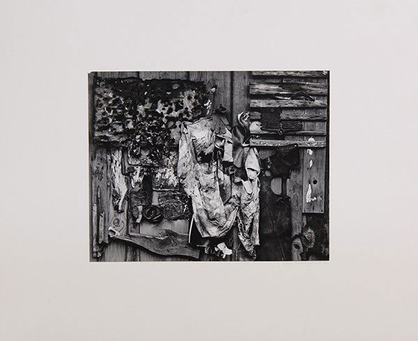 Assorted photographs: (lot of 3) Assorted photographs, Trees in the Mist by Don Worth, "Assemblage" by Jay Dussard, and Plants by Klaus Hammerskjoldt, and , signed or embossed signature, largest overall print (all unframed