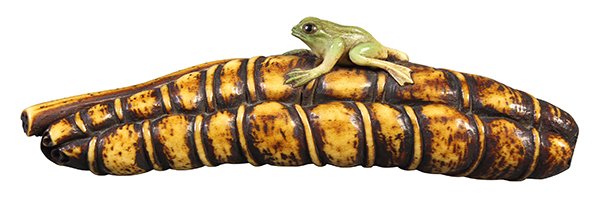 Japanese Ivory Netsuke, Frog on Lotus Leaf: Japanese carved antler netsuke, Meiji period, a frog on a lotus leaf, with pigment accents, 4"; Provenance: Unaccessioned items from The Honolulu Museum of Art