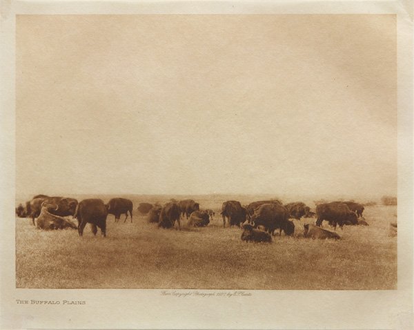 Photogravure, Edward Sheriff Curtis, The Buffalo Plains: Edward Sheriff Curtis (American, 1868-1952), "The Buffalo Plains," photogravure on rice paper, from E.S. Curtis photograph from 1927, paper: 6.5"h x 8"w, overall (with frame): 21"h x 17"w