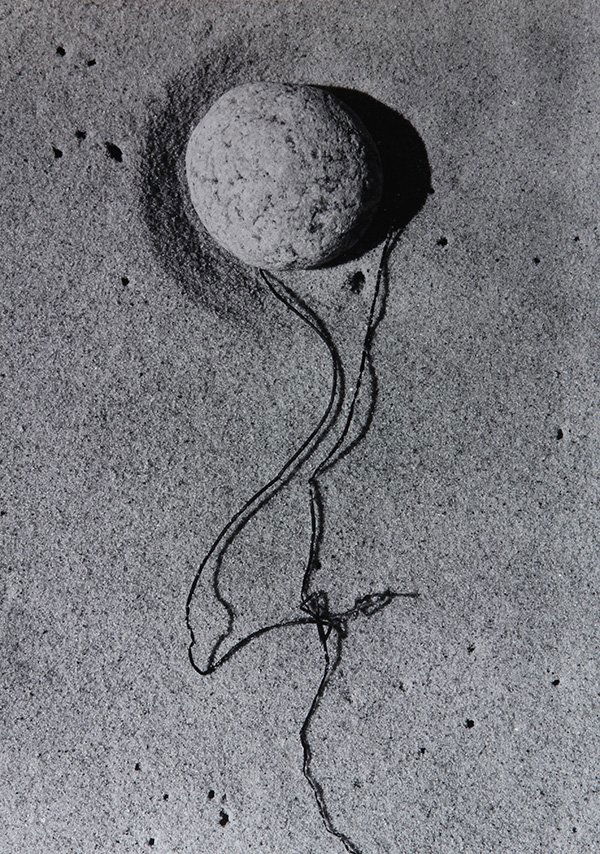 Photograph, Aaron Siskind, Sea Weed 1: Aaron Siskind (American, 1903-1991), "Sea Weed 1 (1947)," gelatin silver print, signed, titled and dated verso, later reprint, sheet (unframed): 10"h x 8"w. Provenance: The David C. and Sarajean Rutte