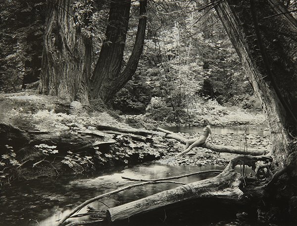 Photograph by Wynn Bullock: Wynn Bullock (American, 1902-1975), Untitled (Nude Seated on Log), circa 1954, gelatin silver print, artist stamp verso, sheet: 8"h x 10"w, overall (with mat): 15.25"h x 13.15"w. Provenance: The David