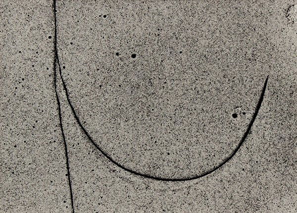 Photograph, Aaron Siskind, Sea Weed 8, Martha's: Aaron Siskind (American, 1903-1991), "Sea Weed 8, Martha's Vineyard 8 (1953)," gelatin silver print, signed, titled and dated verso, later reprint, sheet: 8"h x 10"w, overall (with mat): 14"h x 16"w.