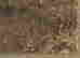 item-24982136=3