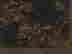 item-24982140=3