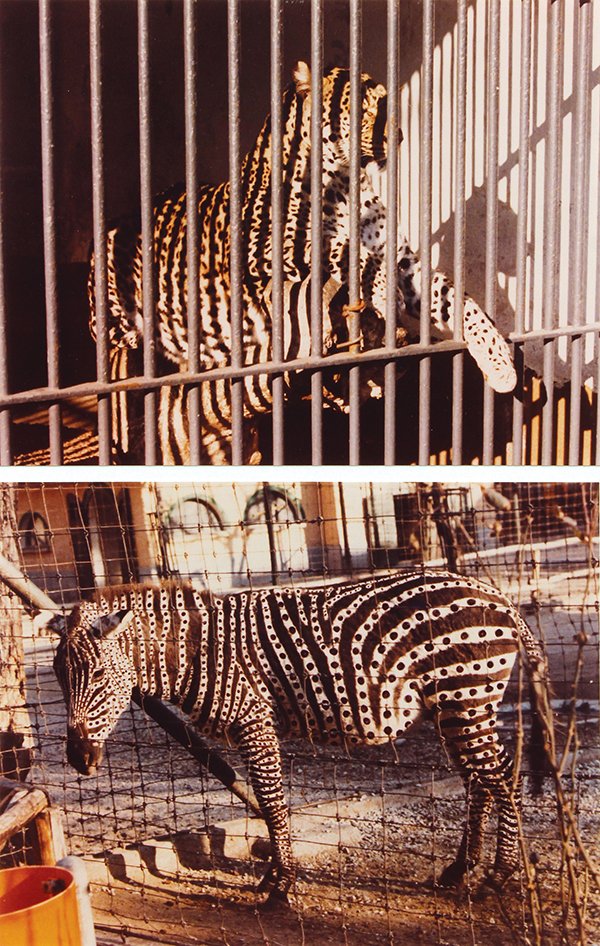 Print, Peter Hutchinson: Peter Hutchinson (British, b. 1930), "Stripes on Spots and Spots on Stripes," 1974, mixed media c-prints and serigraph, pencil signed lower right, edition AP 11/15, sheet: 30"h x 22.25"w. Provenance: 